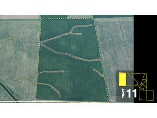 Property photo 51 - Land Auction 458+/- acres in 11 Tracts - Farmland, Woods